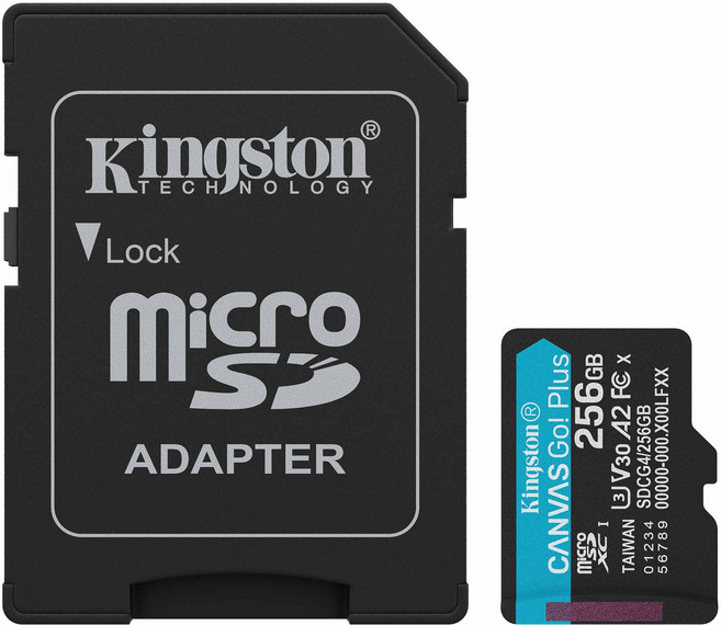 Kingston CANVAS Go! Plus microSDXC 256GB 記憶卡, 1個