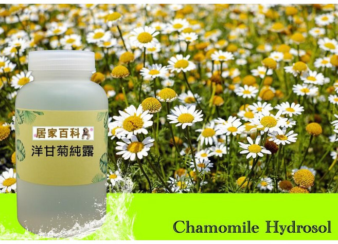 大港化工原料行 洋甘菊純露 - 羅馬洋甘菊 英國進口, 1個, 100ml