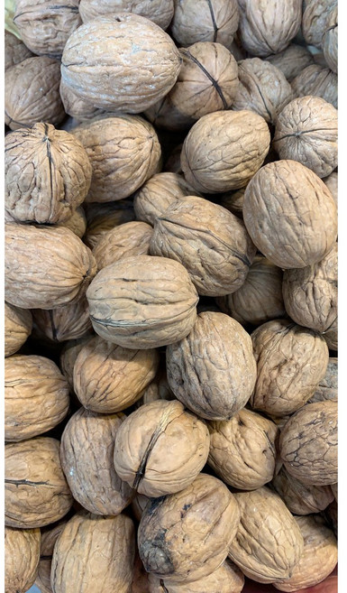 美國帶殼核桃 1斤/600g 附核桃夾, 1個, 帶殼核桃<600g>, 600g
