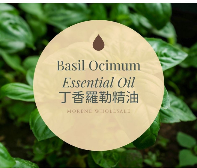香羅勒精油 Basil Ocimum Essential Oil, 10g, 1個, 10ml