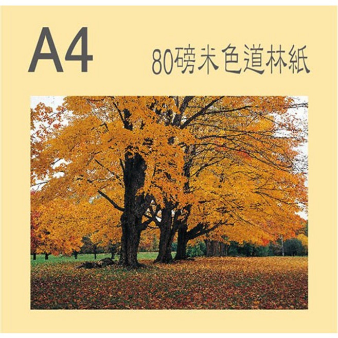 A4 80磅米色道林紙, 1個