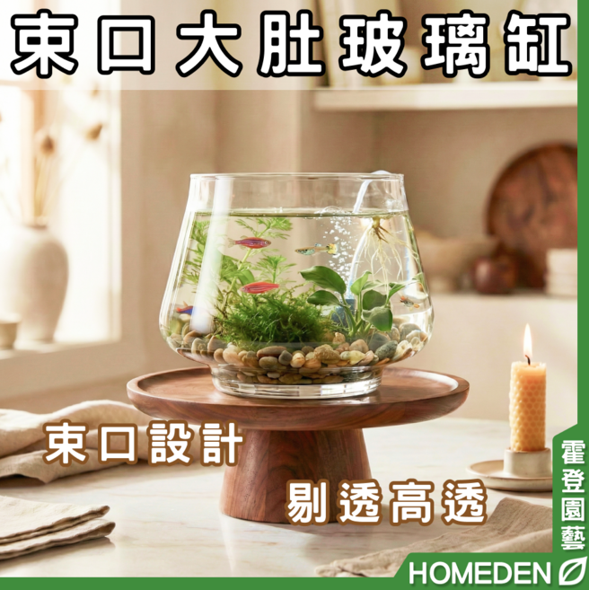 HOMEDEN 東口大肚玻璃缸, 原色, 1個