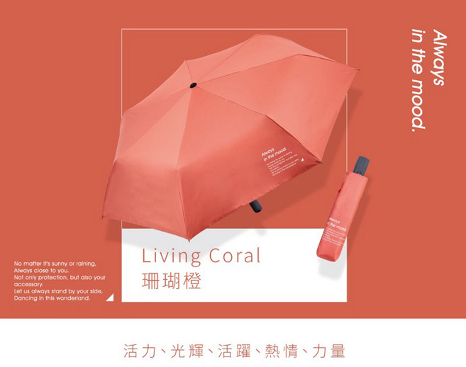 帥哥水族【大振豐洋傘】素色輕騎簡生活自動傘 大振豐洋傘 雨傘 陽傘 雨具 洋傘 傘