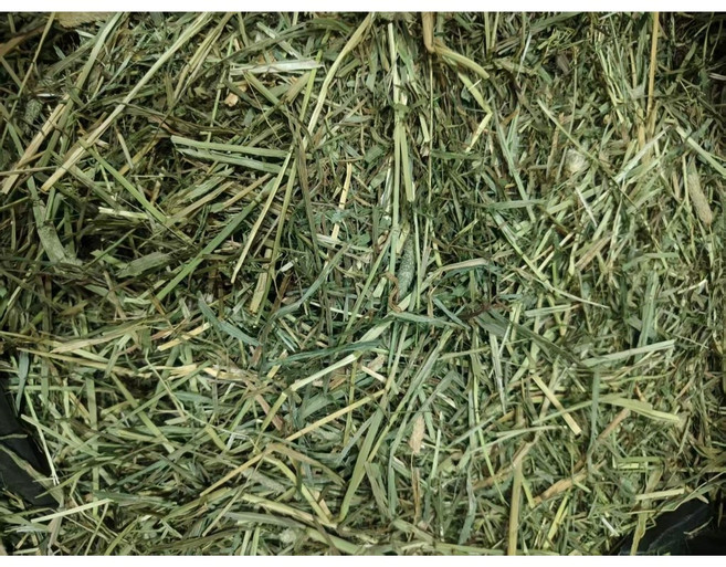 【毛孩專屬牧草堂】百慕達、提摩西、苜蓿、燕麥草、甜小麥 天然乾草, 1個, 提摩西二割1kg, 提摩西二割 1kg