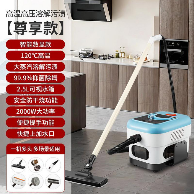 拓業精工 高溫蒸汽清洗機 120°C 高壓 2000W 大功率 99.9%抑菌除蟎, 電腦款+拖把-2000W