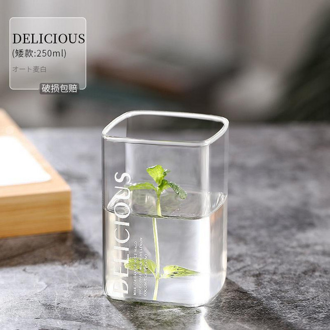 Delicious 高款 400ml 方形玻璃杯, 1個, 美味矮款-250ML