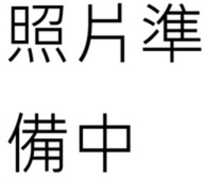 鋁合金烤肉架 烤肉爐 碳烤爐 燒烤爐 BBQ 露營, 1個, 單買鑄鐵爐只