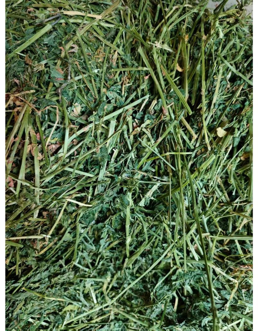 芳香牧草 護齒護腸牧草, 1個, 苜蓿3kg, 苜蓿 3kg