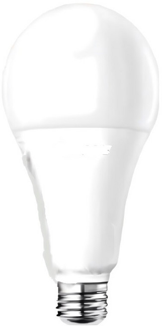 大同LED BL-30W 球泡 30W 白光 E27燈頭 高亮度節能燈泡, 白色, 1個