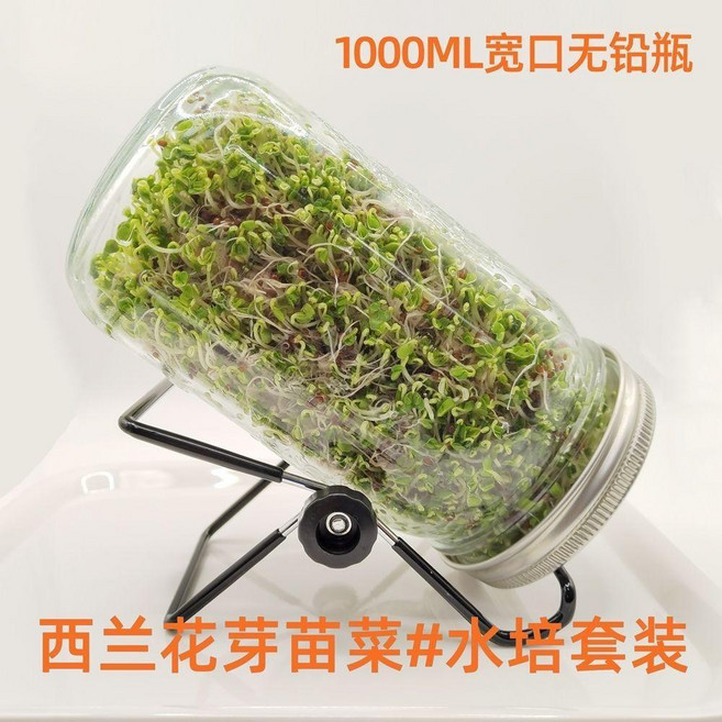 good 梅森瓶發芽罐水培芽苗梅森罐不鏽鋼金屬發芽網蓋玻璃瓶帶支架, 1000ml寬口瓶+不鏽鋼網格蓋+精品支, 1個, 1000ml, 寬口瓶+不鏽鋼網格蓋+精品支