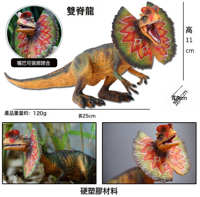 DIU 新款仿真恐龍玩具侏羅紀恐龍玩具套裝霸王龍實心恐龍模型滄龍模型, 1個, 雙脊龍:如圖