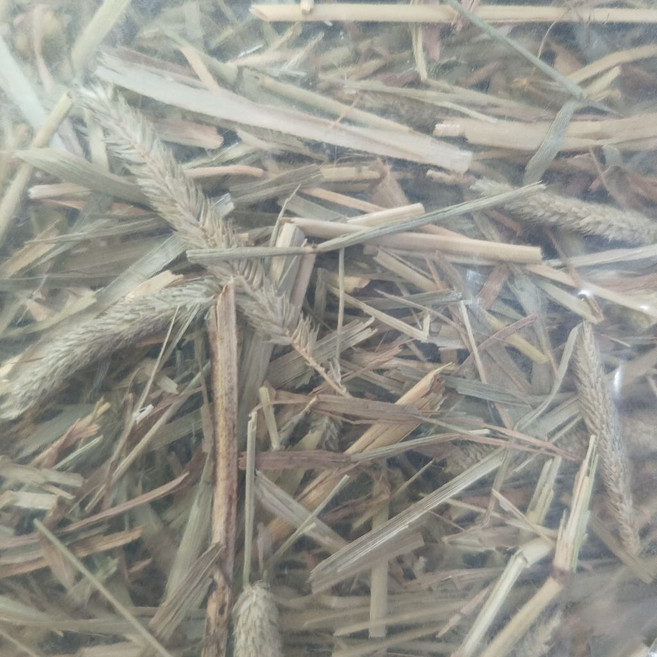 兔子牧草MIX (一公斤裝) 草飼料, 1個