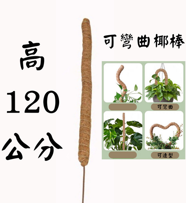 可彎曲椰棕棒 植物攀爬支架 椰纖柱 120公分 觀葉植物適用, 1個, 可彎曲 120公分