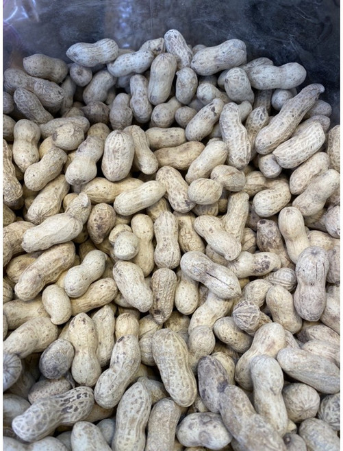 北港特產 鹽炒九號花生, 600g, 1個