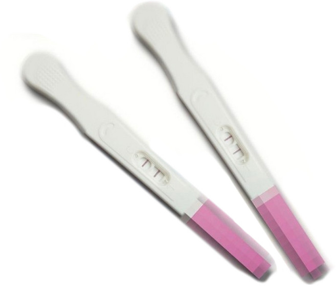 肥婆奶奶 假懷孕惡搞驗孕棒 整人玩具 驗孕試紙 惡作劇道具 生日禮物, 1個, 神秘棒(一個)
