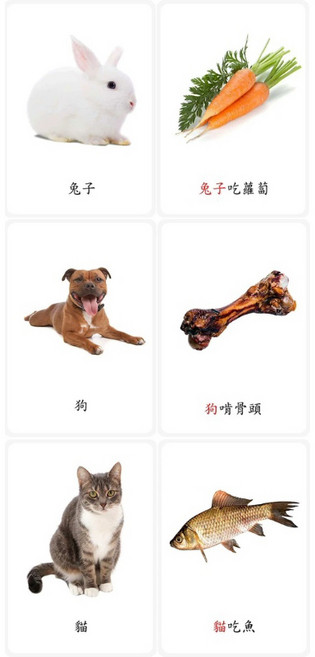 動物教學 動物卡片 認識動物, 小動物吃什麼18張