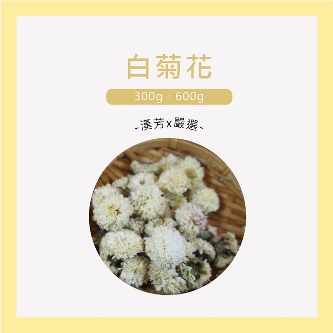 聯通漢芳 白菊花 300g 600g 菊花茶, 1個, 苗栗銅鑼白菊花300g