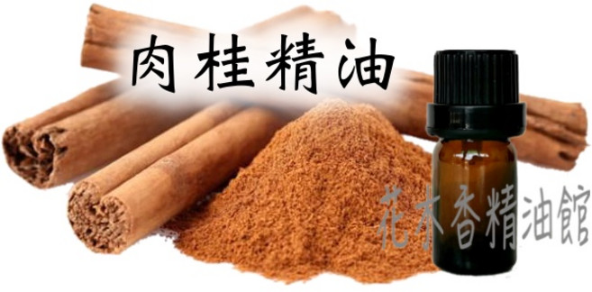 肉桂精油 (肉桂葉/肉桂皮) 10ml、50ml - 台灣優選, 1個, 30ml