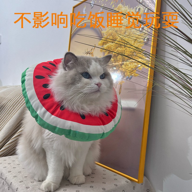 伊莉莎白圈貓咪圍脖頭套防舔防水神器恥辱圈小狗脖圈寵物絕育項圈, 1個, 西瓜:M【頭圍23直徑23cm】