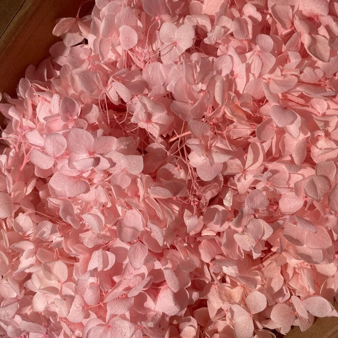 永生繡球花 小份量1-2克 5g 裝 短支花材 DIY 浮游花, 淺粉, 5G
