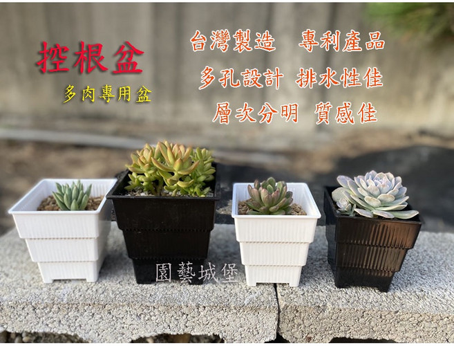 美蒔控根盆 多肉植物專用透氣栽培盆 台灣製造, 1個, 大 (12x11.8cm),黑