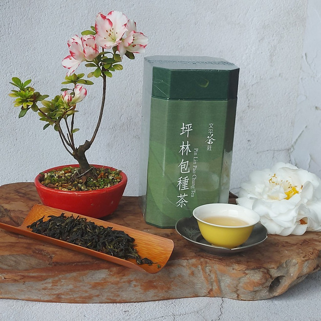文平茶莊 坪林文山包種茶 特香春茶 150g 伴手禮, 1個, 150g(4兩裝)