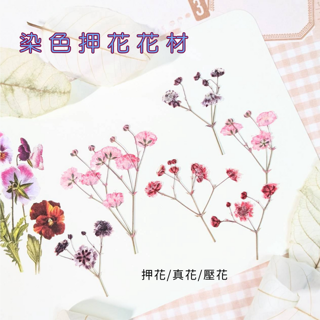 染色滿天星乾燥花材, 染色滿天星-混色
