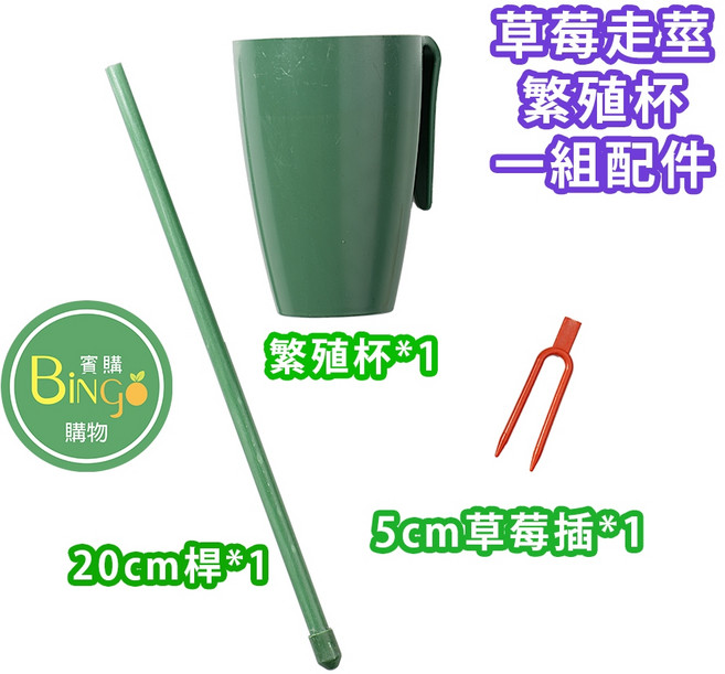 賓購 草莓走莖繁殖杯 草莓種植育苗配件, 1個, 草莓接莖繁殖杯(小)/一組