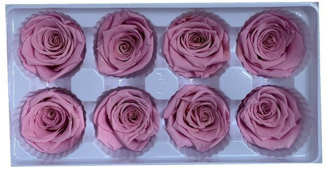永生玫瑰花 玫瑰花乾燥花 DIY 玫瑰花頭 不凋花, 410,4~5公分粉香芋