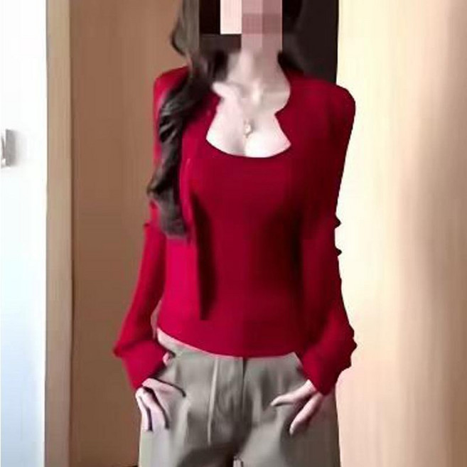 韓系軟糯親膚細膩小個子針織衫女春秋復古刺繡設計感小眾毛衣上衣