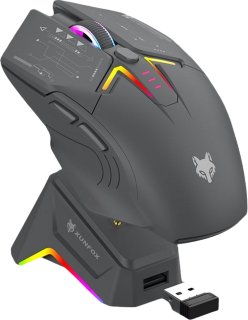 XUNFOX 雙模無線藍牙滑鼠 磁吸充電 RGB 辦公電競遊戲, 極晝, H2