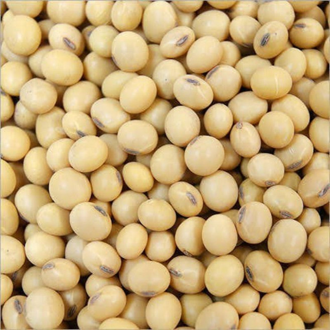 金協和 DG非基改黃豆 600g 加拿大黃豆 養身食品 健康美味 全家共享, 1個