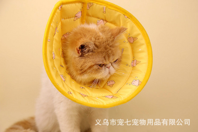 寵物伊莉莎白圈狗狗防咬防舔圈貓咪術後項圈寵物防護用品保護頭套, 1個, 黃色滿印霜淇淋:XL