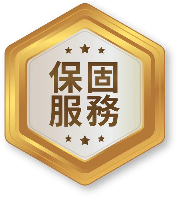 迷你蒸氣掛燙機 蒸汽熨斗 乾濕兩用 智能自清潔, 原廠保固卡