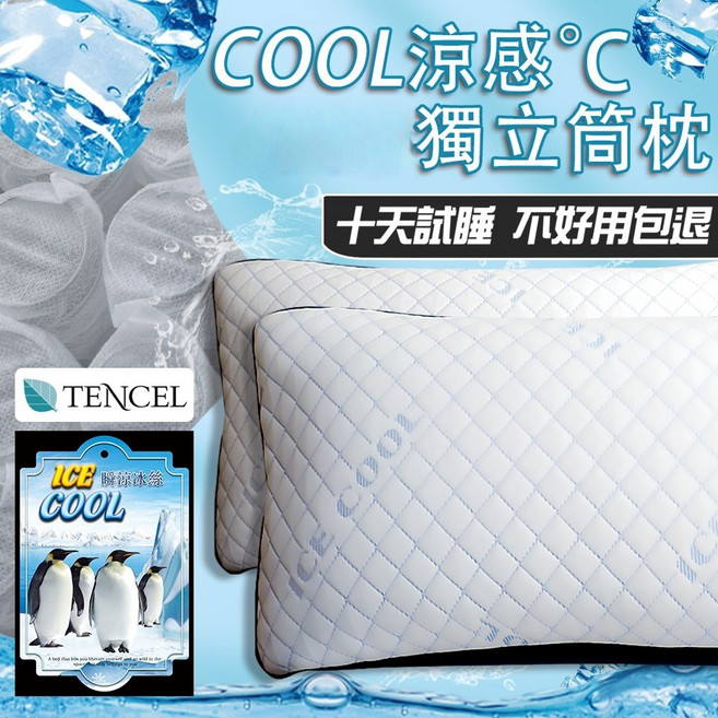SUD 水洗涼感石墨烯獨立筒枕 一年保固, E正常款:天絲+涼感COOL獨立筒, 1件