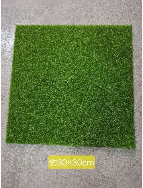 仿真青苔 裝飾佈置, 1個, 仿真草皮(約30×30公分)