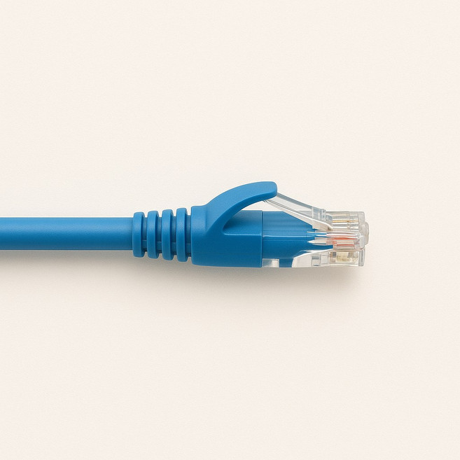 【YICUN益村】CAT6高速網路線 RJ-45穩定傳輸 附魔鬼氈束帶, 藍色,2M, 1個