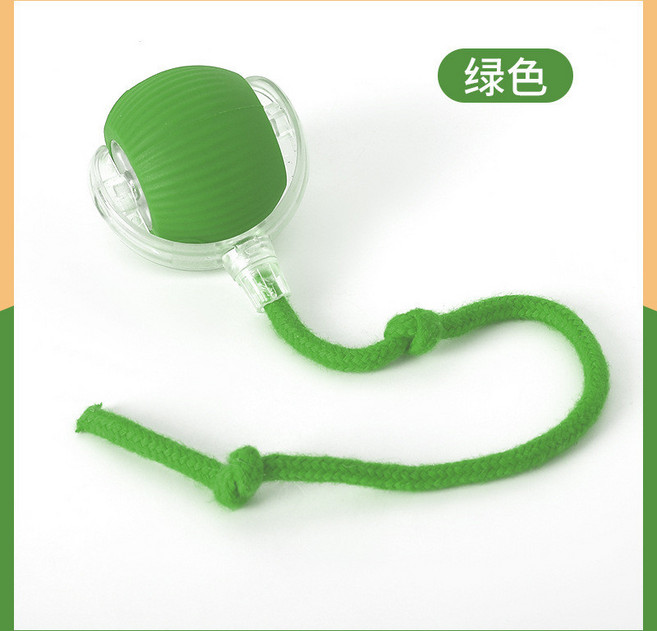 寵物貓玩具 狗狗互動球 USB充電式滾滾球, 蒂安綠, 1個