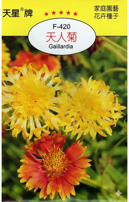 天星牌 天人菊種子 F-420 (Gaillardia),野菜部屋穗耕種苗, 1包