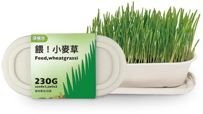 Vegansu 餵 小麥草 天然鮮食 化毛 貓草, 1g, 1個