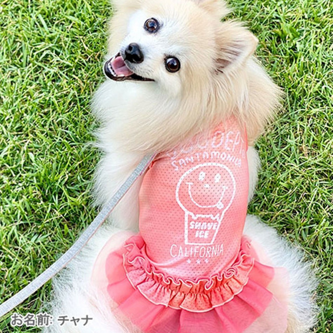福媽寵物 DP 笑臉圖案寵物涼感防曬衣 (小型犬適用), 粉色漸層, 1個