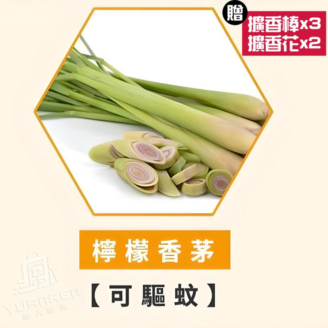 極奢擴香瓶 持久室內香氛, 1入, LONGFINE【檸檬香茅】1入