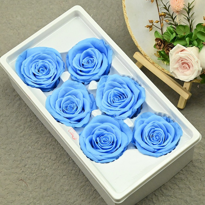永生玫瑰花5~6cm A級 不凋玫瑰花乾燥花 浮游花 DIY手作, 中藍
