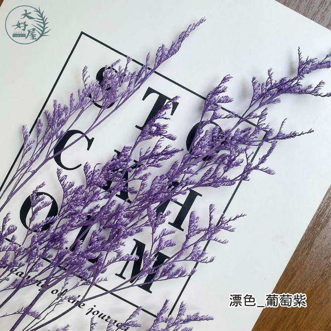 大好屋 永生花 DIY手作 攝影道具 浮游花 居家裝飾, 卡斯比亞-漂色【葡萄紫】小包裝