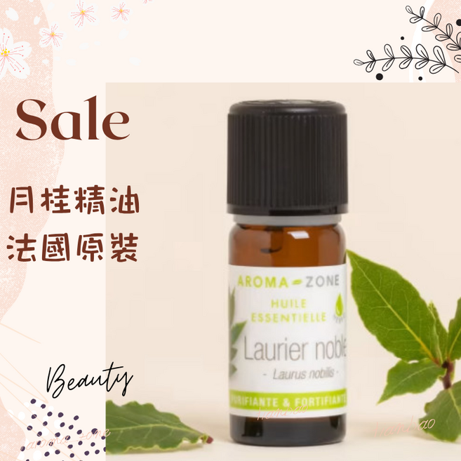 AROMA-ZONE 月桂精油 法國原裝 Laurus nobilis, 1個, 一般非有機 效期2029/03, 10ml