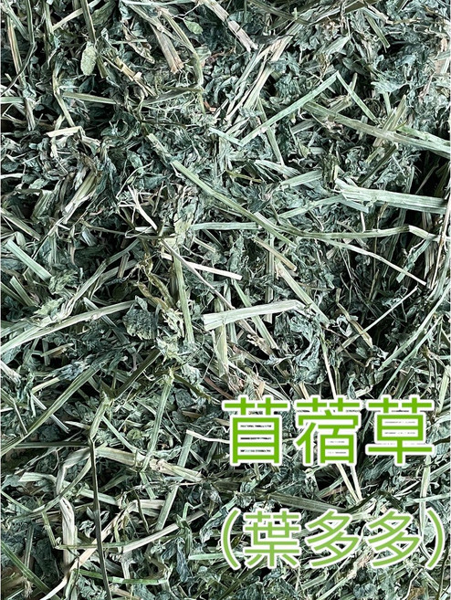 兔老爺 苜蓿草 新上市 鮮綠濃郁 5公斤裝, 1個, 苜蓿草(葉多多),5kg(2.5kgx2)