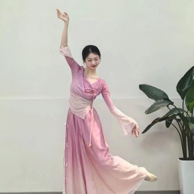 古典舞練功服套裝 飄逸紗衣