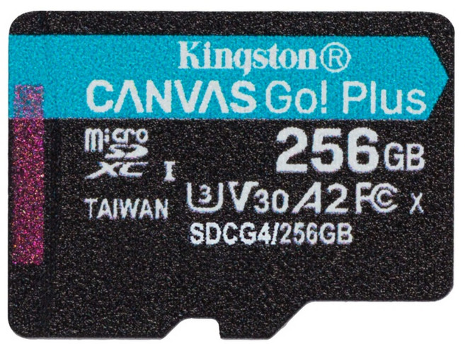 Kingston 金士頓 Canvas Go! Plus 256G SDCG4 記憶卡 microSD U3 高速記憶卡 TF卡, 1個, 256GB