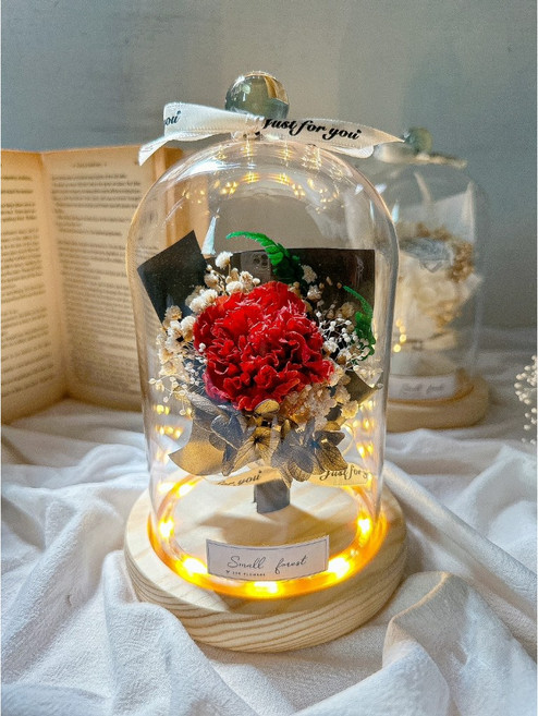 玻璃燈罩 永生花 玫瑰花 畢業花束 情人節 生日禮物 康乃馨 捧花 婚禮小物乾燥花燈罩, K 感恩/康乃馨紅,透明盒裝