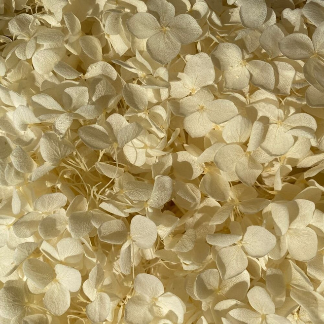 永生繡球花 小份量1-2克 5g 裝 短支花材 DIY 浮游花, 米白, 1G